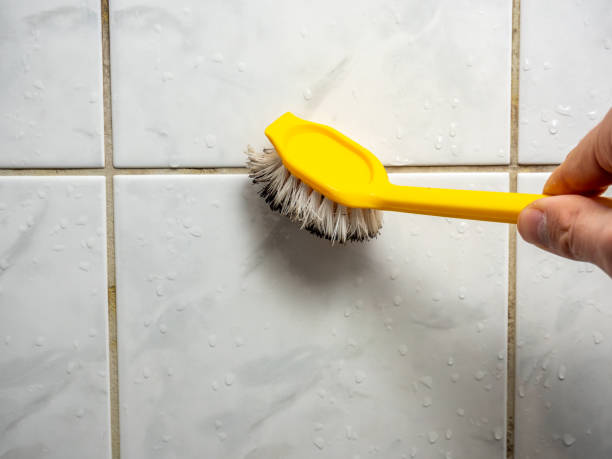 Best Attic Mold Removal  in Rogersville, AL