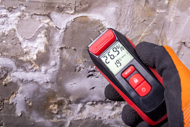Best Professional Mold Removal  in Rogersville, AL